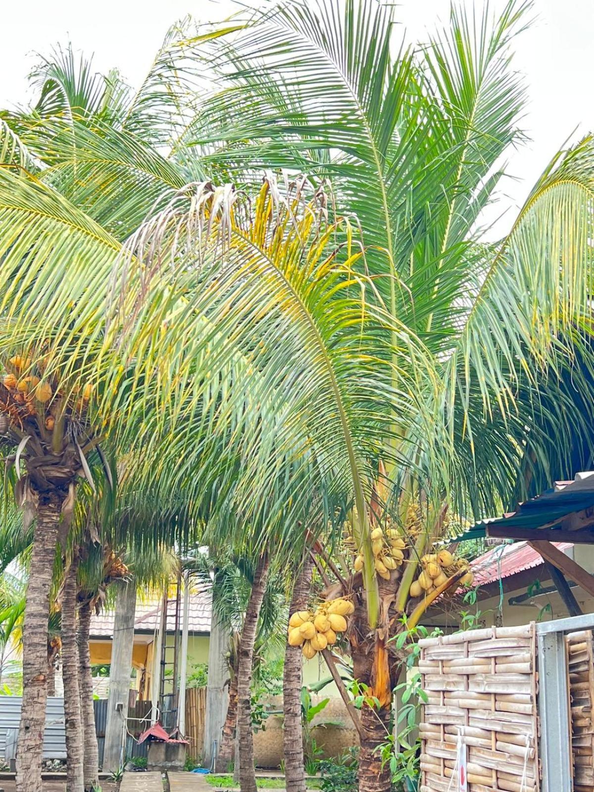 Bias Bungalows Gili Air Eksteriør billede