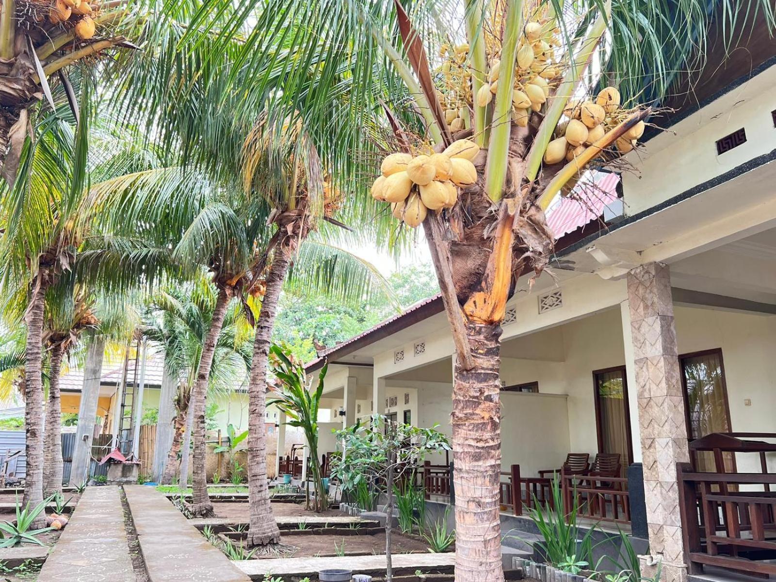 Bias Bungalows Gili Air Eksteriør billede